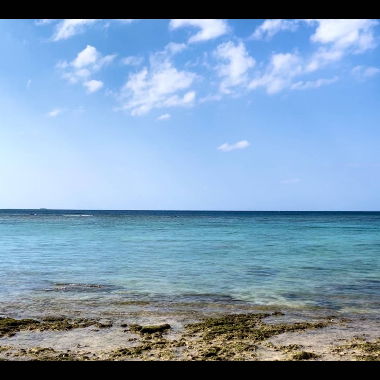 【COLUMN】楽しかった“沖縄サウナ撮影旅”。最終日は「南の島」ならではの開放感を満喫したサウナ体験をご紹介。ぜひ本誌の武田玲奈さんグラビアとあわせて読んで＆感じてください♪